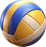 md88-volley-ball